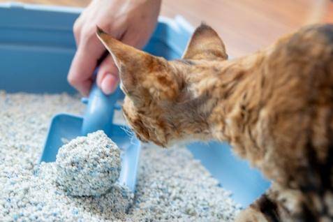 게티이미지뱅크