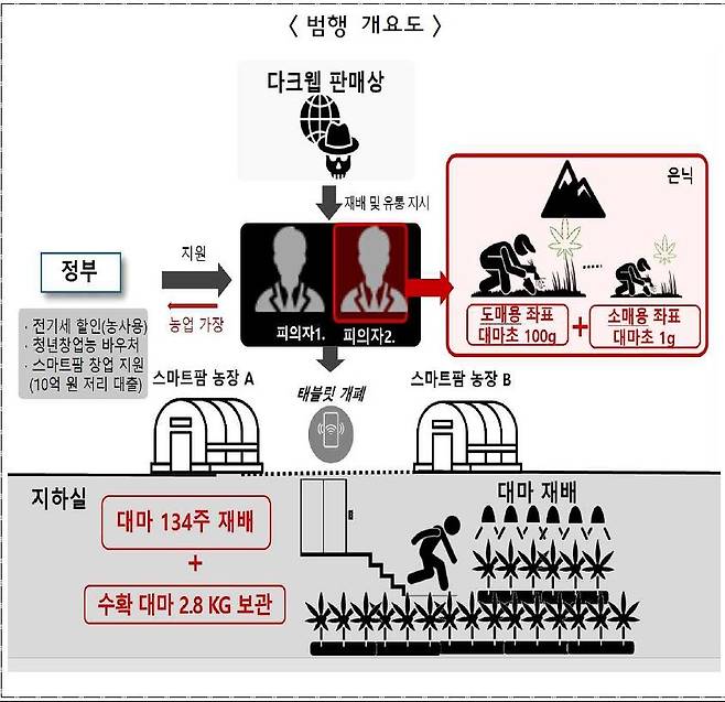 정부지원금으로 지하벙커에서 대마를 재배한 일당 범행 개요도. 사진 마약범죄 정부합동수사본부