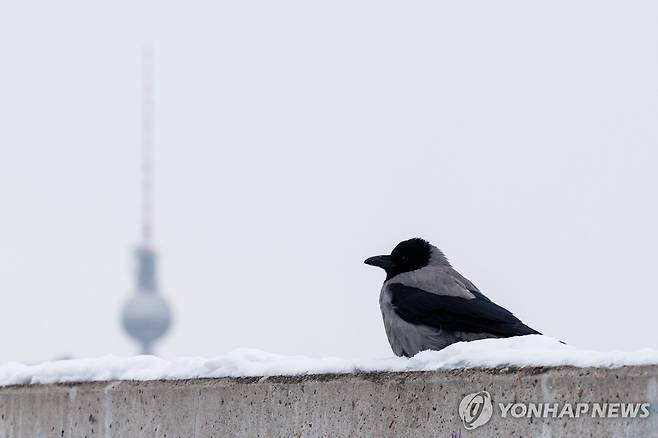 [EPA 연합뉴스 자료사진. 재판매 및 DB 금지]