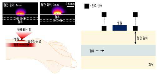 혈류 속도와 혈관 깊이 등에 따른 열패턴 분석 결과