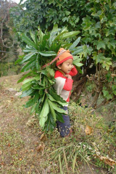 자연과 더불어 살아가는 산악지대의 오지 마을입니다. 가축에게 먹일 사료를 메고 집으로 향하는 어린 소년이 마을을 지나가는 이방인에게 때 묻지 않은 밝은 표정으로 웃어주네요.