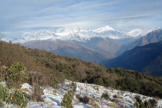 안나푸르나 트레킹에서 일출을 볼 수 있는 최고의 명소인 푼힐로 오르는 비탈길입니다. 언덕을 오르는 주변은 전나무 등 침엽수와 네팔의 국화인 랄리구라스(진달래속 Rhododendron, 만병초의 일종)가 무성하게 자라고 있지요. 꽃이 화려한 랄리구라스는 상록교목으로 크게 성장하며, 해발고도 2,000-3,000m 산악과 특히 계곡에서 울창한 숲을 이룹니다.