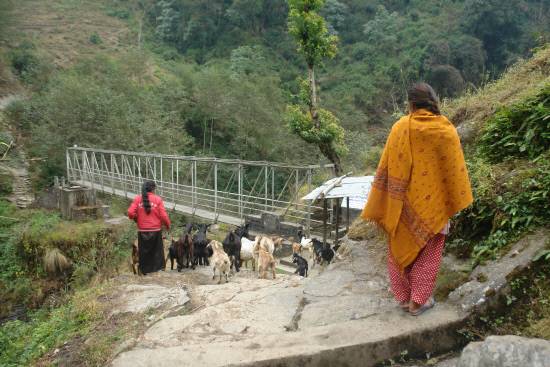 트레킹 코스는 산촌의 마을과 마을을 잇는 경우가 많지요. 자동차는 물론, 자전거도 없는 여건이랍니다. 이곳은 짐을 나르는 당나귀와 말, 그리고 사람들과 가축이 함께 이용하지요.