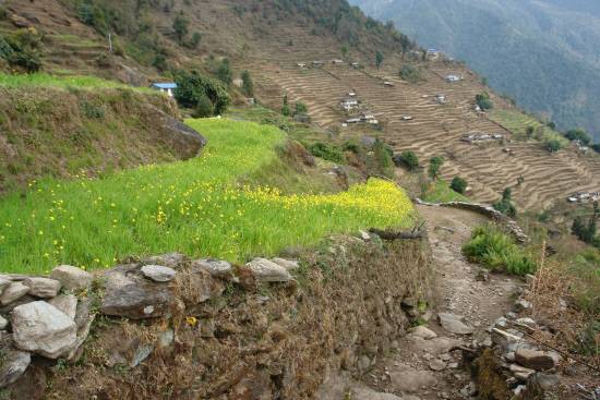 마을로 향하는 언덕 위에 유채꽃이 피었네요. 걷다 보면 하루에도 몇 번씩 봄과 겨울을 만나기도 한답니다.