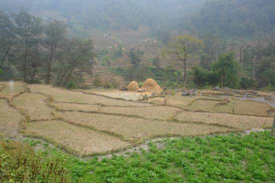 높은 산악지대에서 산록으로 내려왔습니다. 모처럼 만나는 넓은 경작지가 여유가 있고 평화롭네요. 이곳에서는 벼를 재배하나 봅니다. 자동차가 접근할 수 있는 비포장도로까지 있어 오지의 산악 마을과는 비교가 되지 않을 정도로 문화 혜택을 누릴 수 있겠네요.