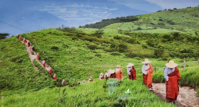 WTN 홈페이지에 소개된 천성산. (사)양산도시문화연구원 제공