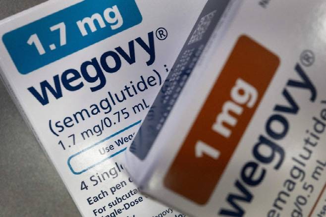주사형 위고비.(사진=AFP 연합뉴스)