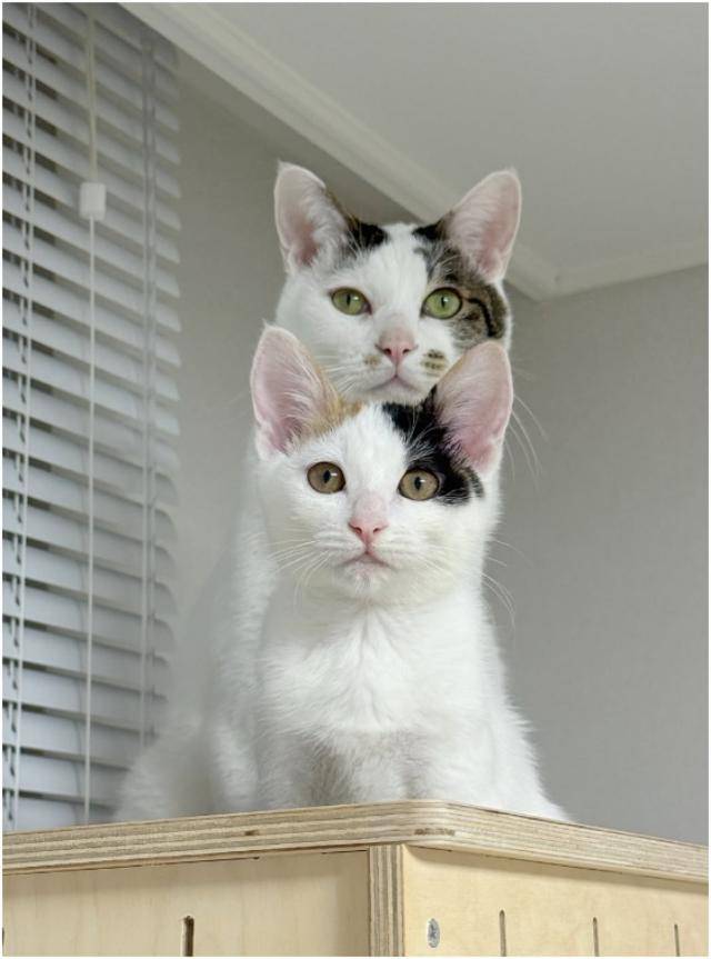 우린 피보다 진한 사이! 보호자 제공