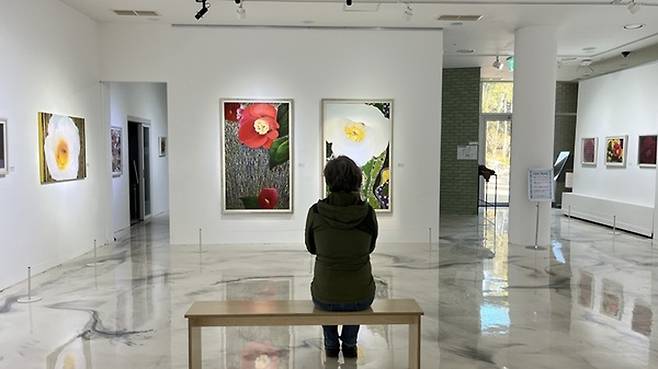 신안군 저녁노을미술관이 지역의 자연과 일상을 예술로 풀어내는 주말 문화예술교육프로그램 ‘그림이 시를 만나다’를 오는 14일부터 5월 2일까지 운영한다.&nbsp;지난해 12월 18일부터 제7회 애기동백 설희숙 초대전 ‘사유의 빛, 아! 동백’이 오는 8일까지 진행되고 있다. 동백을 평생 화폭에 담아온 설희숙 작가의 회화 작품 53점을 만나볼수 있다. /신안군