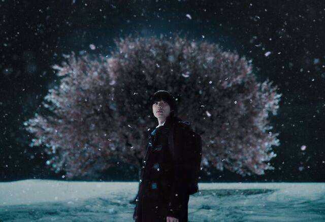 영화 ‘초속 5센티미터’ 스틸컷. 미디어캐슬 제공