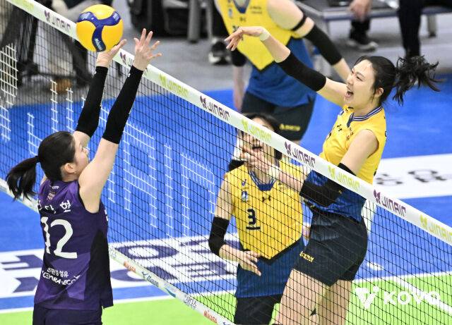 현대건설 양효진./KOVO