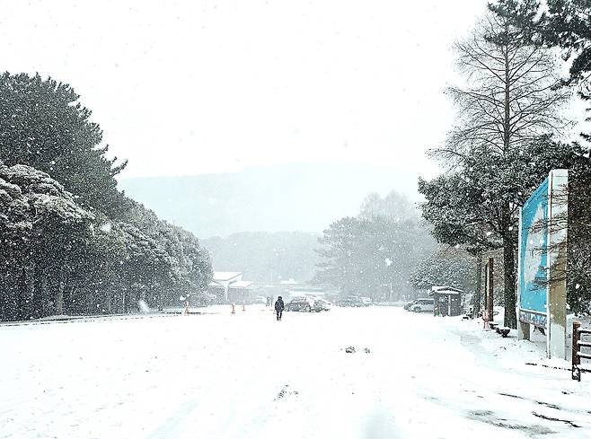 제주시 노형동 한라수목원에 탐방객들이 찾아 설경을 즐기고 있다.[연합]