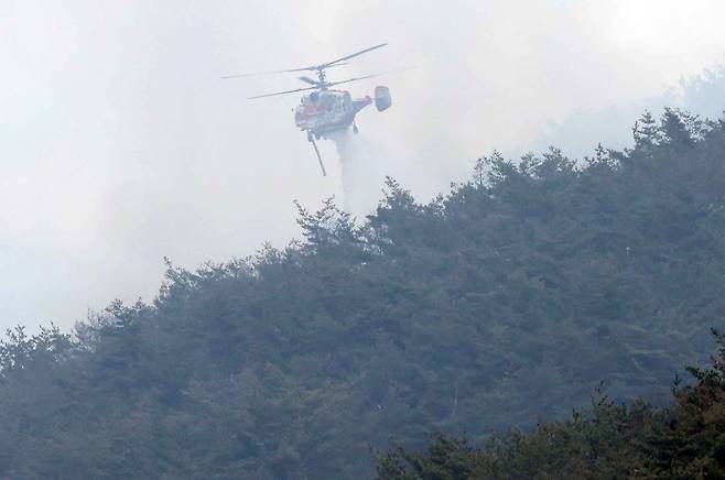 경남 밀양시 삼랑진읍에서 산불 진화 작업을 하고 있다. [연합]