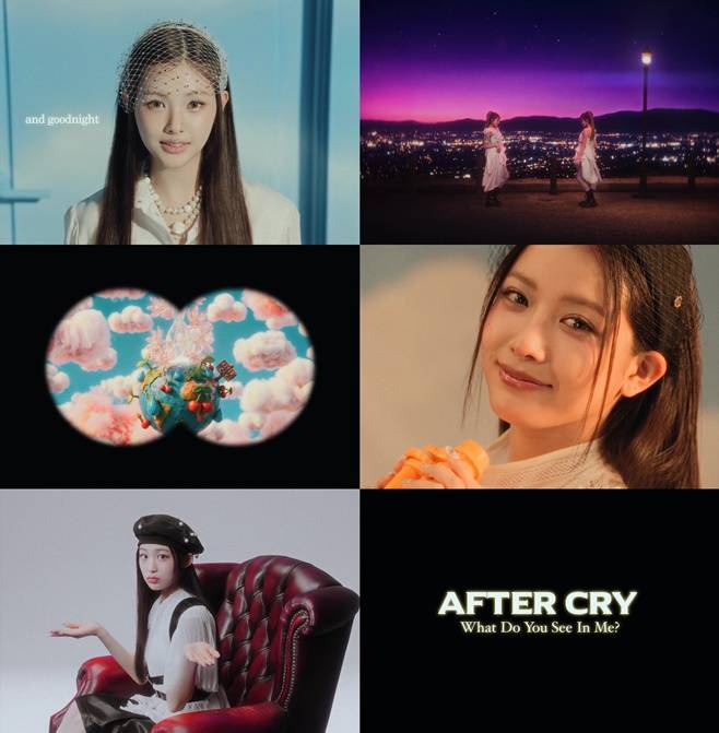 티브이데일리 포토