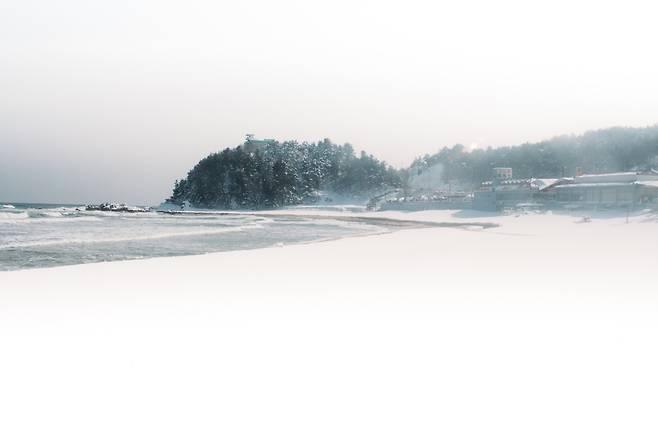 겨울 양양 해변 [김울프 작가 제공]