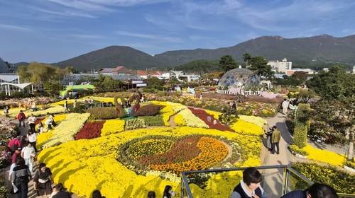 '도 지정 문화관광축제'로 선정된 거제 섬꽃축제 [연합뉴스 자료사진]