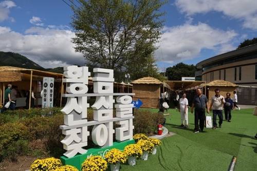 '도 지정 문화관광축제'로 선정된 함양 산삼축제 [연합뉴스 자료사진]