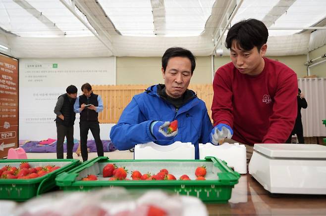 딸기 농장 방문한 우상호 예비후보 [우상호 예비 후보 측 제공.재판매 및 DB 금지]