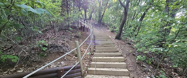 용인특례시가 추진한 광교산둘레길 1차사업 대상지 모습. 사진=용인시