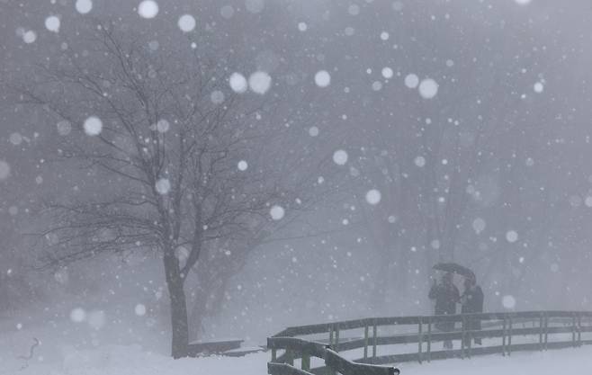 강원도 지방에  폭설이 내린 2026년 3월 2일 강원특별자치도 평창군 양떼 목장이 새하얀 눈으로 뒤덮여 있다. /장경식 기자