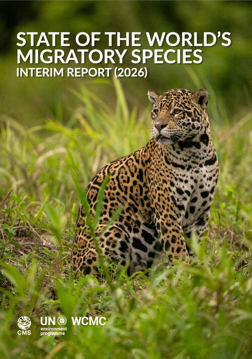 유엔환경계획 세계자연보전모니터링센터(UNEP WCMC)가 5일(현지시각) ‘2026 세계 이동성 야생동물현황 중간보고서’를 펴냈다.