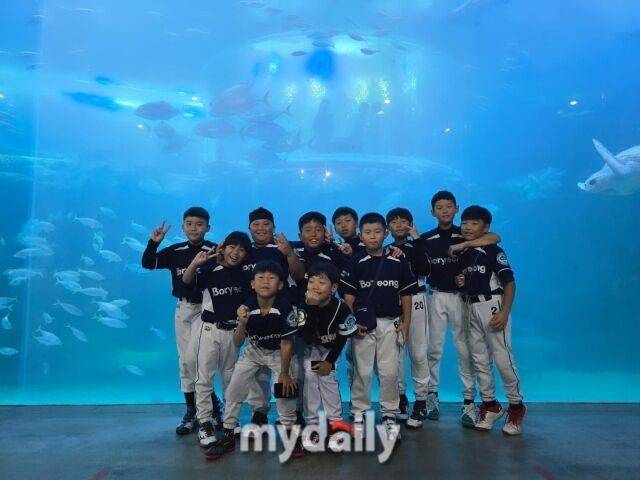보령시 유소년야구단 선수들.