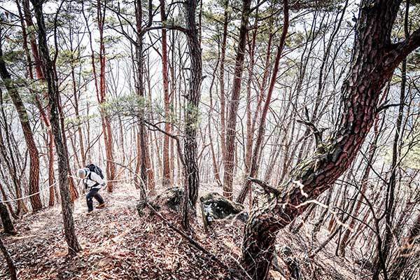고씨동굴에서 오르는 태화산은 끊임없는 오르막이 이어져 꽤 체력 소모를 요한다.