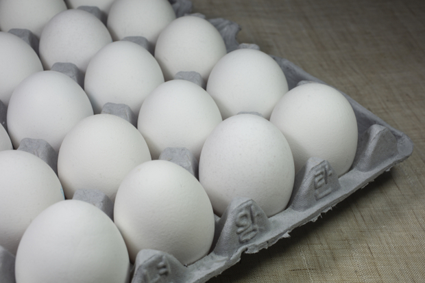 클립아트코리아