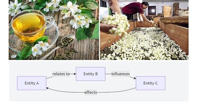 왼쪽 위부터 시계 방향으로 자스민 차와 꽃(Zest Tea), 자스민 향배(China Today), 관계의 존재론 설명 도식. 사진=유영현 제공