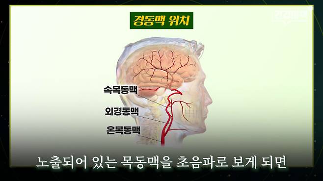 서울대학교병원 이승훈 교수 편 '건강비책' 유튜브 캡처