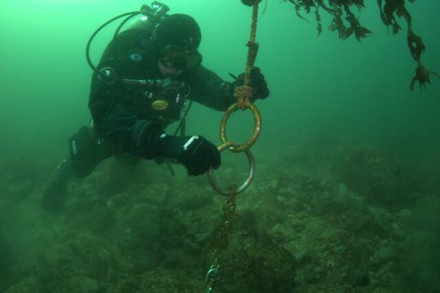 포항시 구룡포읍 강사2리 해역에서 전문 다이버가 해조류 종자를 부착한 밧줄을 암반에 연결해 수중에 띄운 '수중저연승' 시설을 살펴보고 있다. 해양특별취재팀