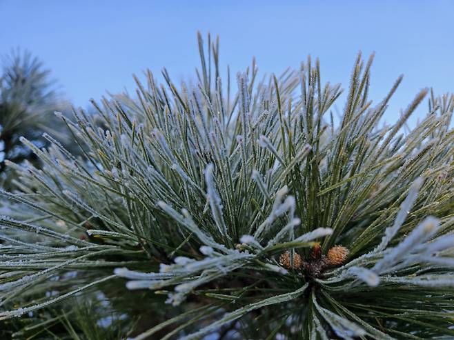 '아침 영하권' 꽃샘추위…내륙 서리·안개 ‘주의’[오늘날씨]= 일요일인 오늘(8일) 날씨는 전국이 대체로 맑다가 오후부터 가끔 구름 많겠다. 아침 최저기온은 -7~1℃, 낮 최고기온은 6~11℃가 되겠다. 전국 대부분 지역이 꽃샘추위로 춥겠고 일교차가 크겠다. 내륙을 중심으로 낮과 밤의 기온 차가 15도 안팎으로 벌어지고, 새벽부터 아침 사이 전국 내륙을 중심으로 서리가 내리는 곳이 있겠다. ⓒbnt뉴스: 오늘날씨, 내일날씨, 주간날씨 예보&nbsp;