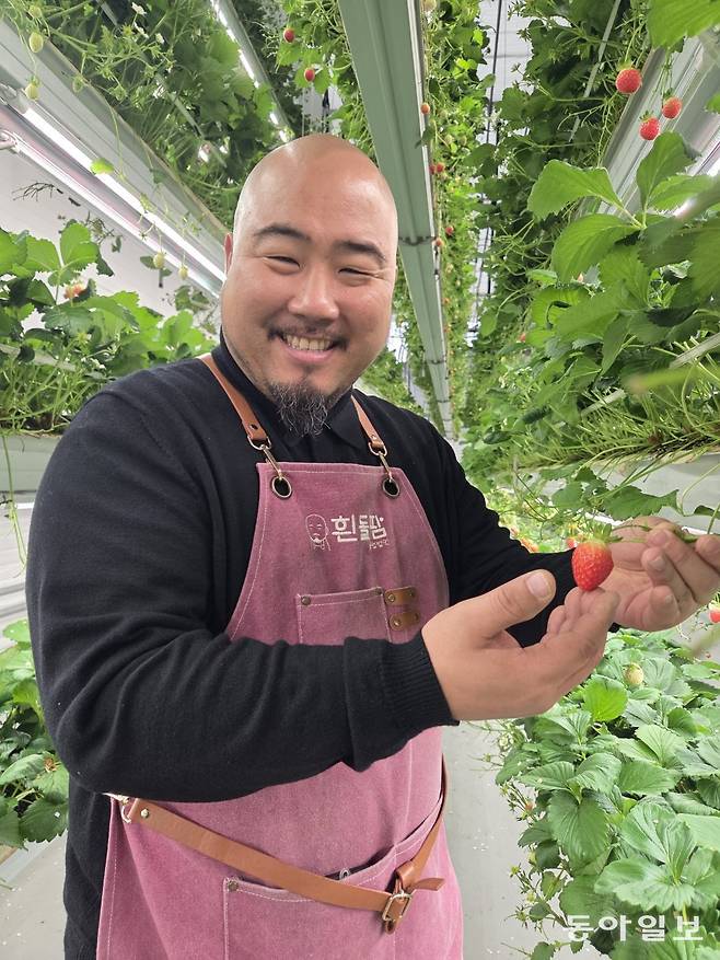 딸기 농부로 변신한 김형일 전 감독.  이헌재 기자