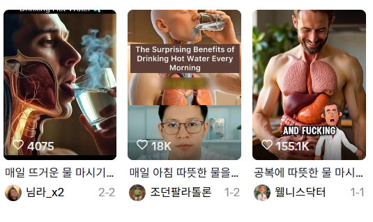 [틱톡 사이트 캡처]