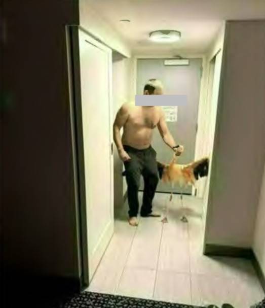 플라밍고 '피치'를 절도해 학대하는 캐나다 남성 미첼 페어반 [현지 경찰 당국 제공]