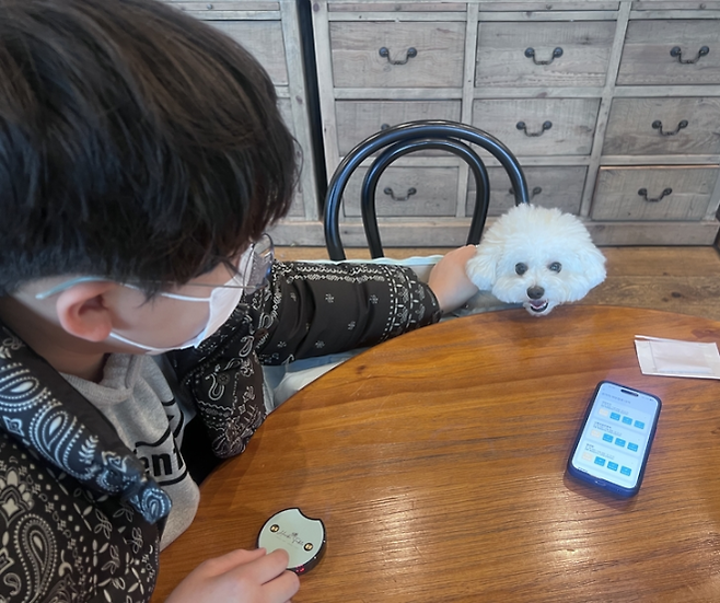 김서현씨의 초등학생 아들이 8일 경기 용인시의 한 브런치 카페에서 2살 비숑프리제 ‘슈가’를 쓰다듬고 있다. 슈가는 김씨 가정이 식사하는 1시간 동안 강아지 가방에 담겨 얌전히 있었다. 반영윤 기자