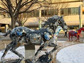 과천 경마장. [사진=경마장]