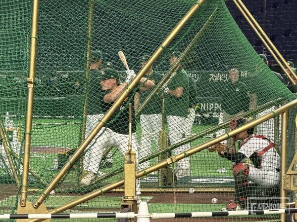 트래비스 바자나(사진=더게이트 배지헌 기자)