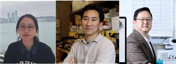사진 왼쪽부터 UCSD 생명과학과 정민주 박사, UCSD 생명과학과 임병국 교수, KAIST 뇌인지과학과 백세범 교수 / 사진제공=카이스트