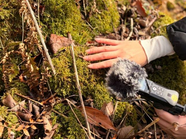 사운드워킹 체험을 통해 화순곶자왈 이끼 소리를 녹음하고 있다./사진=김다이 기자 @neverdie