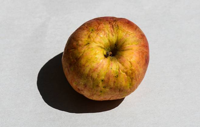 과일 그릇에 오래 두어 쭈글해진 사과가 심혈관 건강과 소화 기능에 도움이 될 수 있다는 정보가 온라인에서 관심을 모으고 있다. 사진=게티이미지뱅크