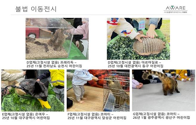 어린이집으로 야생동물 불법 이동전시를 하는 모습(어웨어 제공) ⓒ 뉴스1