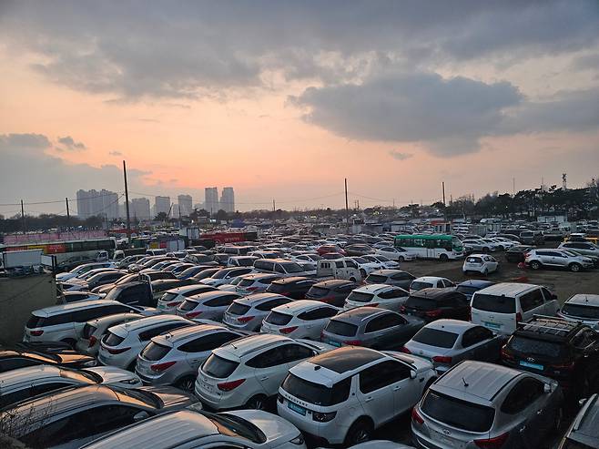 지난 6일 인천 연수구 옛 송도 유원지에 있는 중고차 수출단지. /김지환 기자