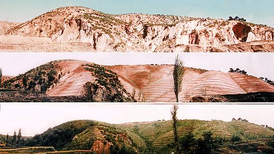 1970년대 초 민둥산이던 경북 영일지구 산림녹화 이전과 이후 변한 모습. [사진 산림청]