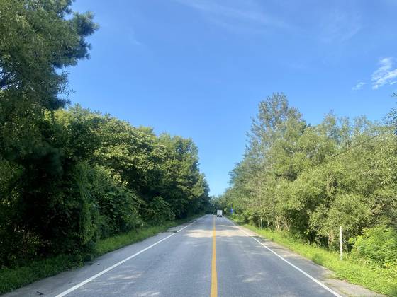 단종(1441~1457)이 강원도 영월군 청령포로 유배 가면서 넘은 두 번째 행치. 경기도 여주군 대신면 상구리에서 북내면 상교리의 경계에 있다. 김홍준 기자