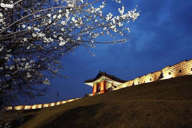 수원남문시장은 화성 바로 밑 도심에 있다.