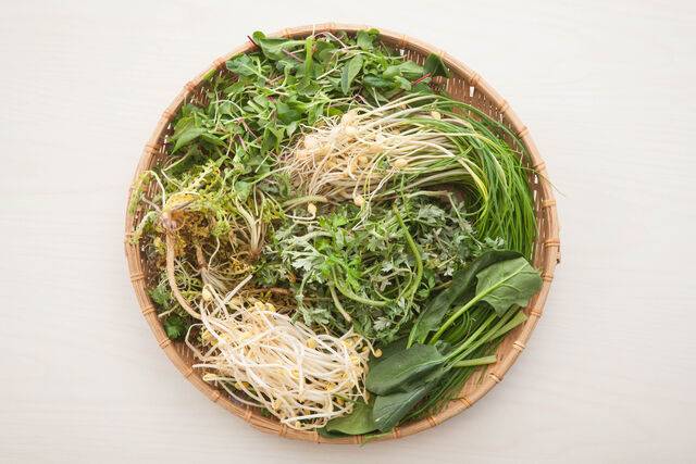 봄나물 등 이맘때 제철음식은 영양소가 풍부해 꾸준히 챙겨 먹는 것만으로도 면역 회복에 큰 도움이 된다. 클립아트코리아