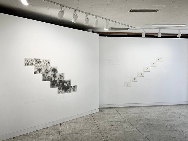 전시장 전경. (작가 제공)