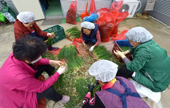 2024년 10월 육거리시장 일하는 밥퍼 참여자들이 마당에서 쪽파를 손질하고 있다. 김성태 객원기자