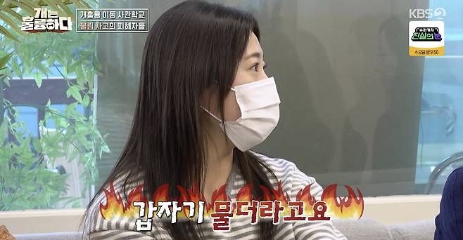 KBS 2TV ‘개는 훌륭하다’